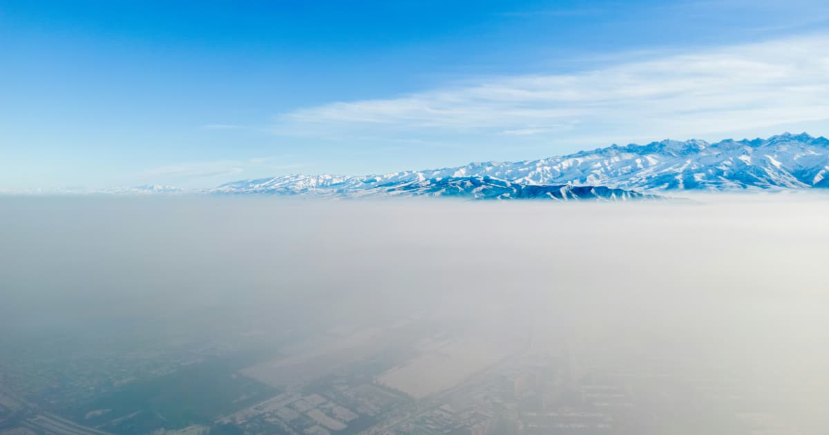 Study Reveals Mirror-Image Pesticide Forms Differ in Accumulation and Harm Across Fish Generations