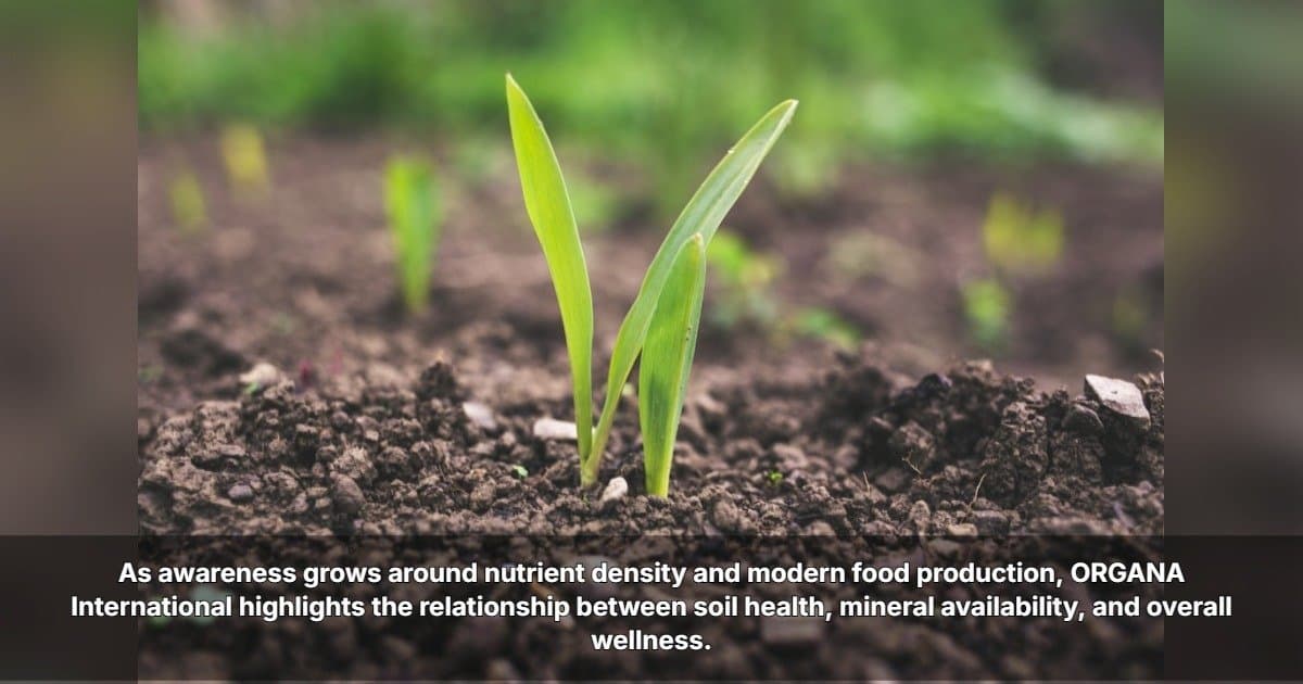 Soil Health Emerges as Key Factor in Human Nutrition, ORGANA International Highlights