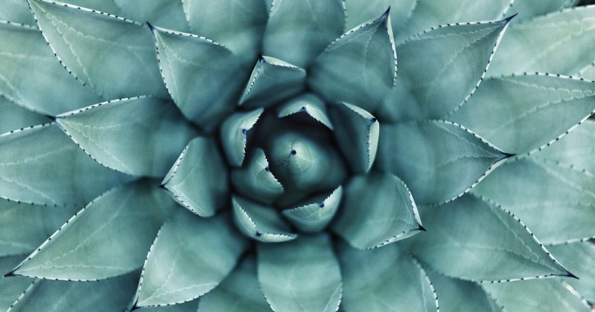 ArcticCollagen Expands Nationwide with Taste-Focused Collagen Supplements