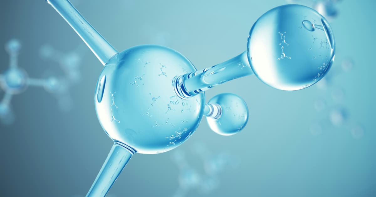 Intravenous Everolimus Formulation Shows Reduced Gastrointestinal Exposure in New Pharmacokinetic Data