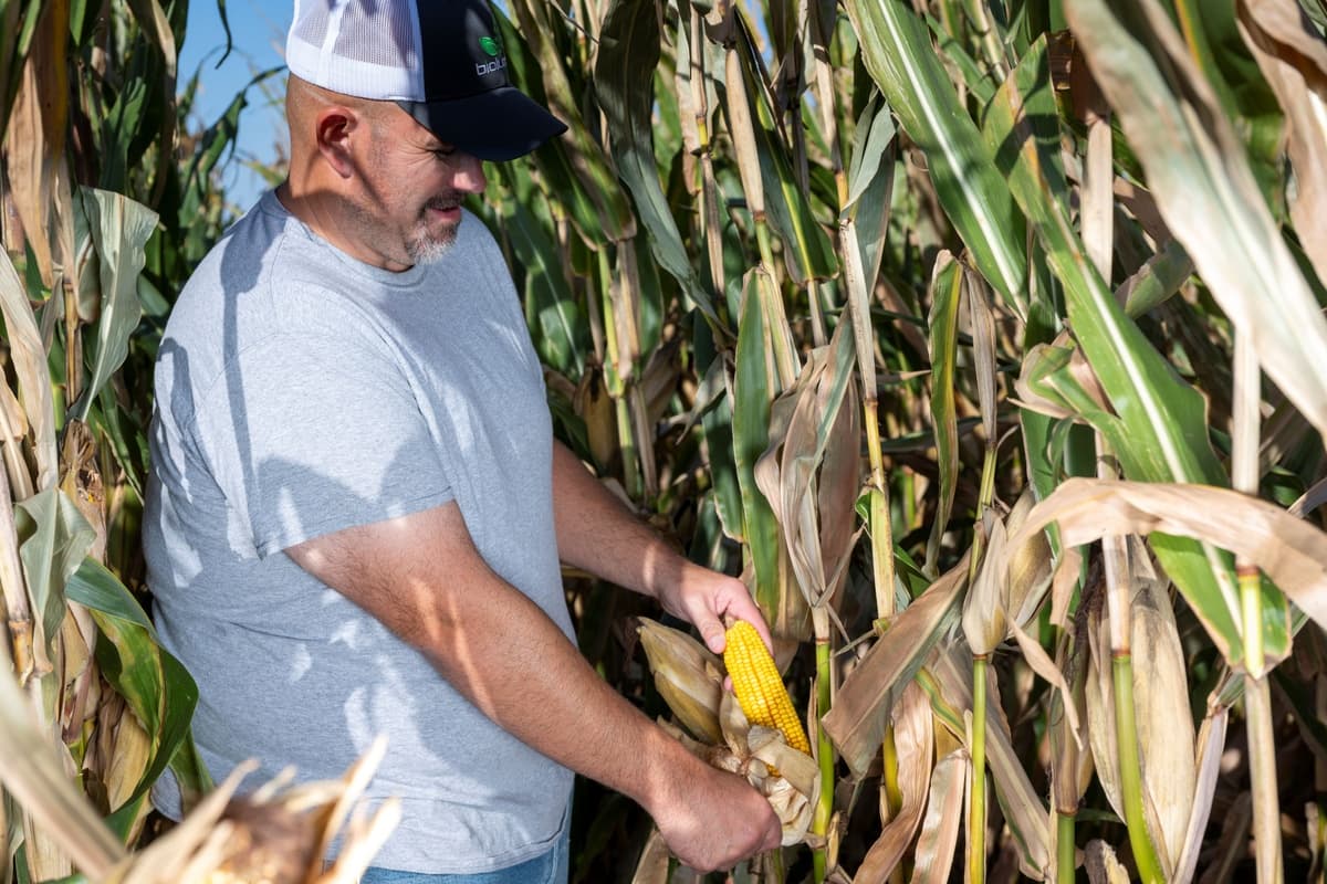 BioLumic Expands Light-Activated Corn Trait Program to South America Through Brazilian Seed Company Partnerships